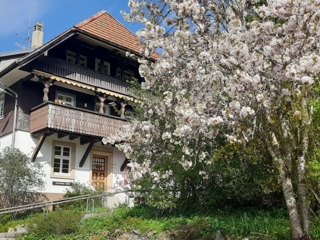 Zentrum Initiatische Therapie Rütte
