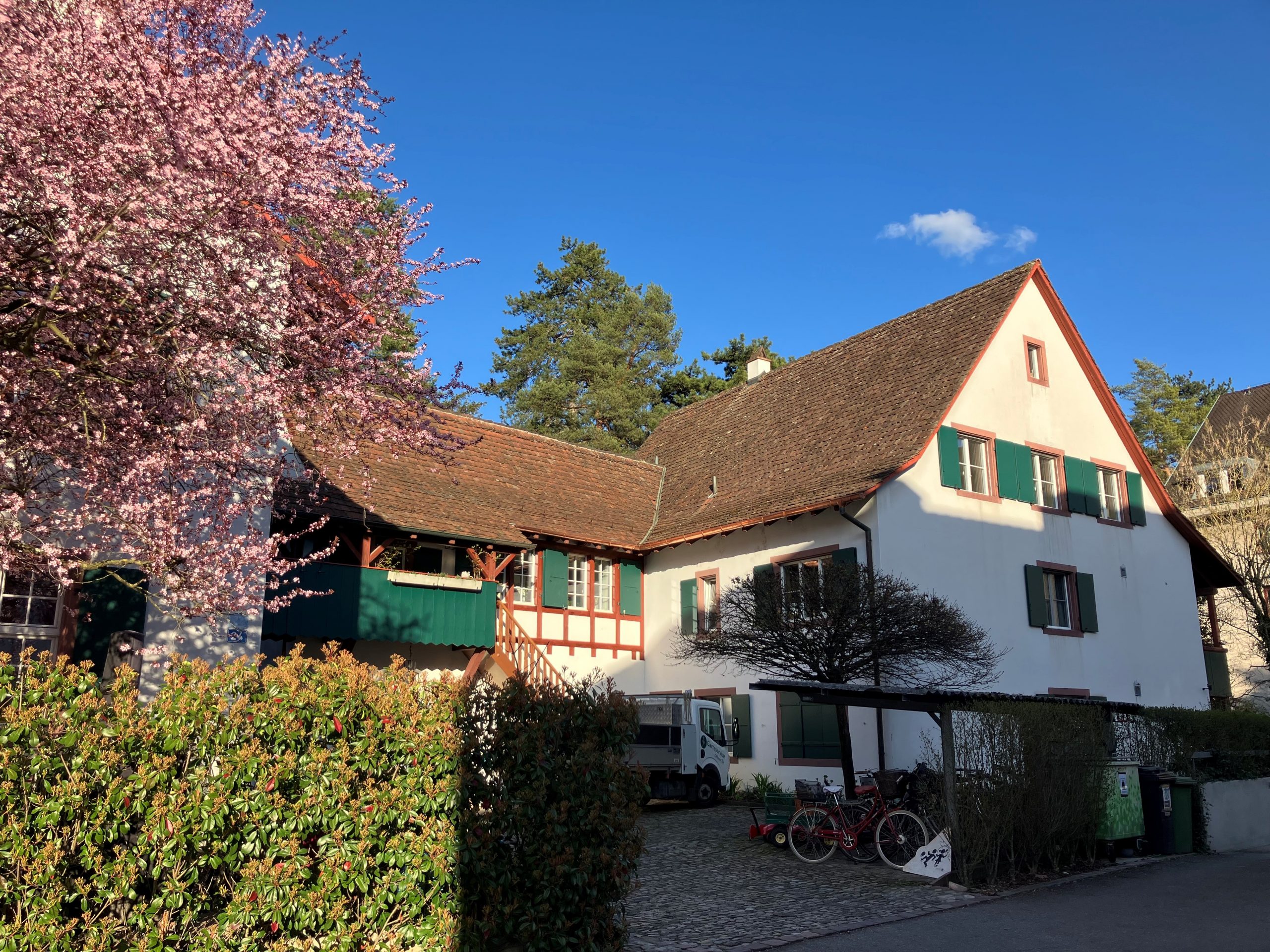 Spatzenäscht im Fischerhus